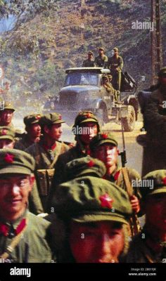 Die Schlacht von Đống Đa: Ein Triumph der vietnamesischen Guerilla gegen die chinesische Invasion